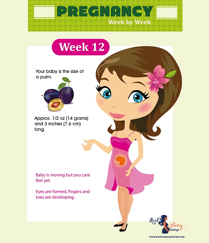Pregnancy week 12