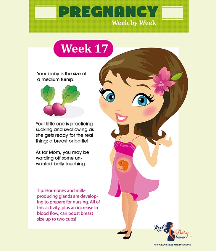 17 weeks pregnant