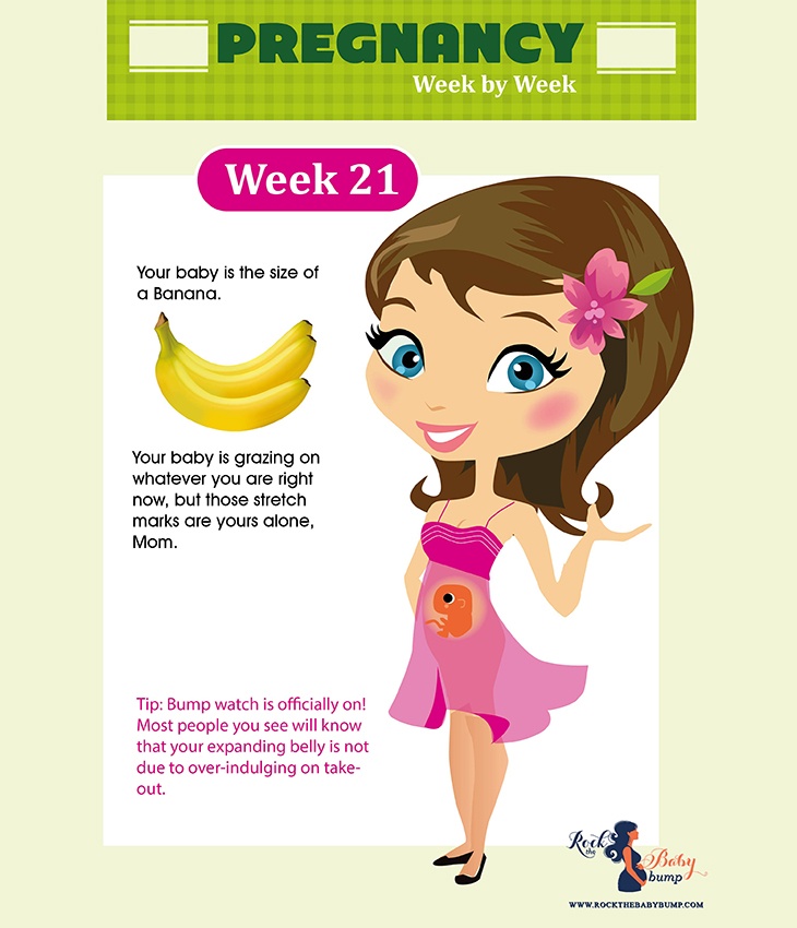 21 weeks pregnant