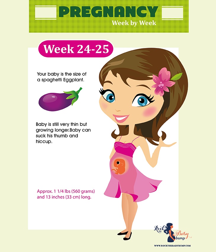 24 and 25 weeks pregnant