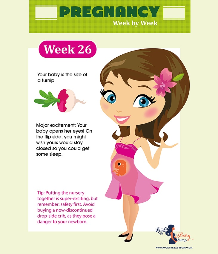 26 weeks pregnant