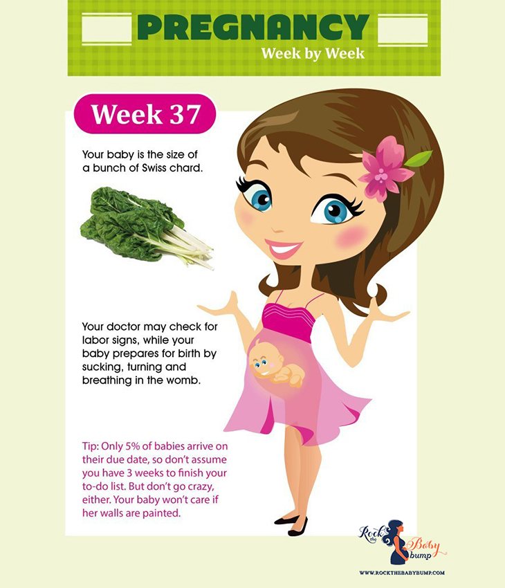 37 weeks pregnant