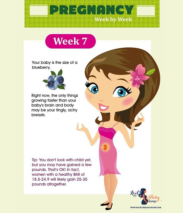Pregnancy week 7