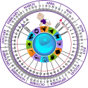 pregnancy due date calculator