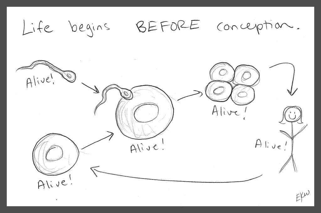 Life Begins Before Conception