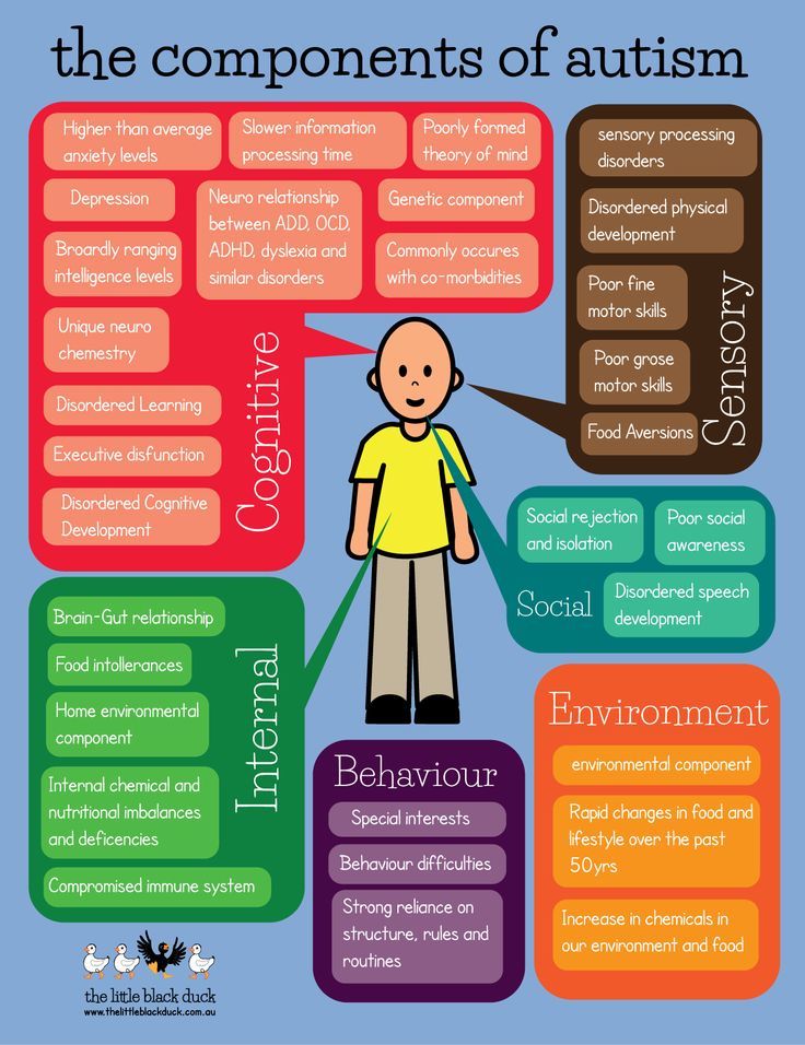 components of autism