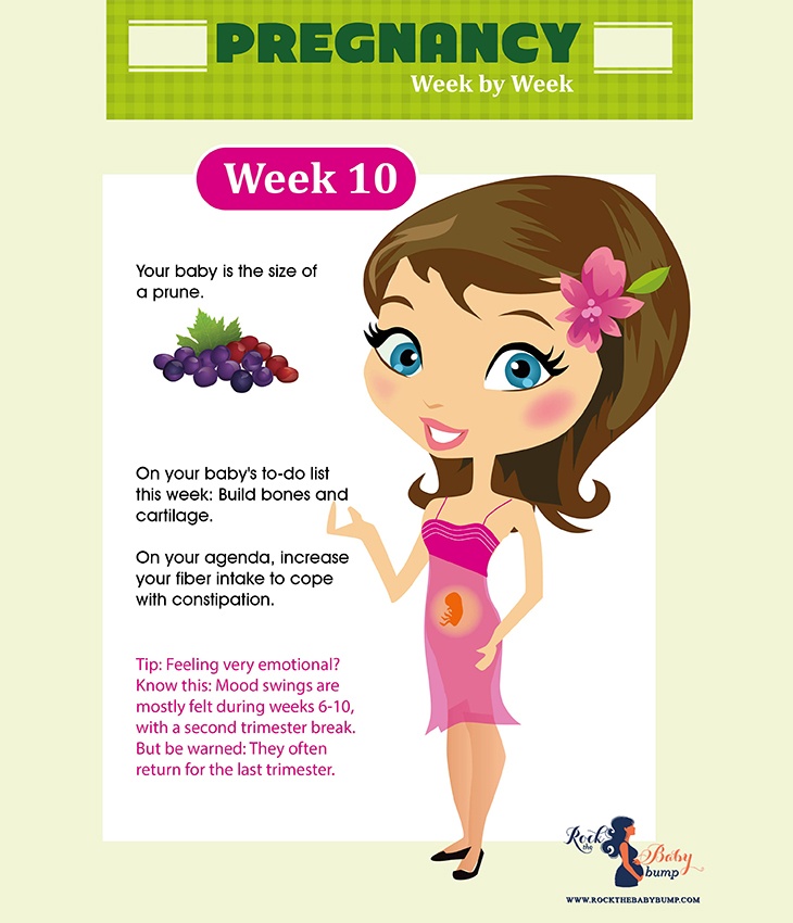 pregnancy week 10
