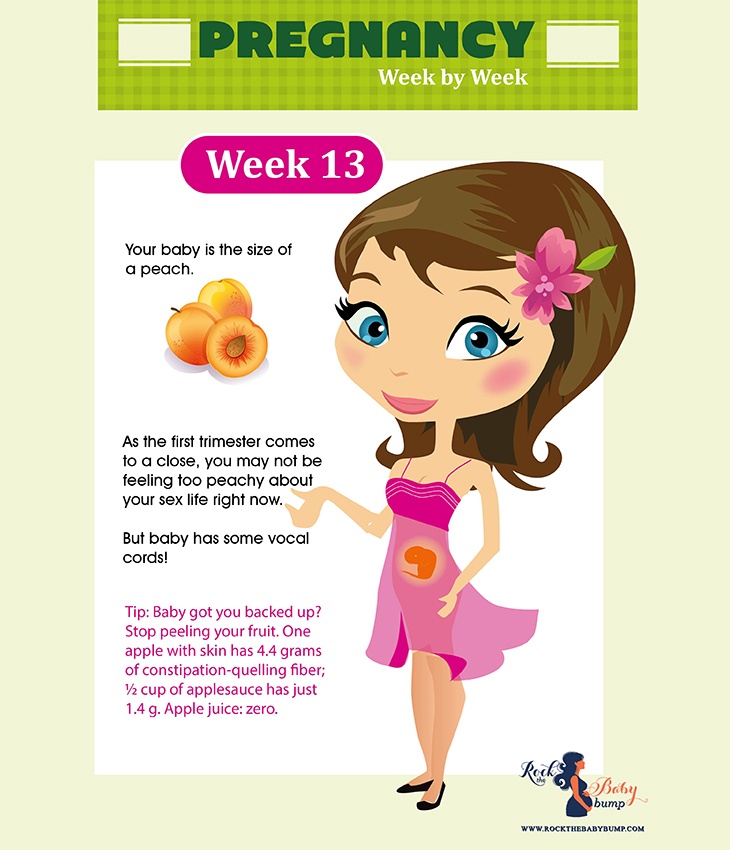 Pregnancy week 13