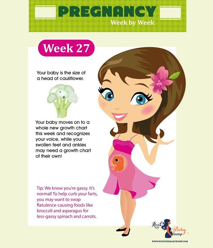 Pregnancy weeks chart of Pregnancy Weeks