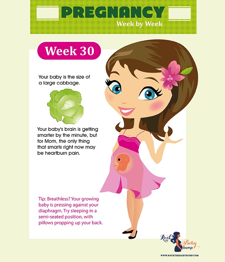 30 weeks pregnancy