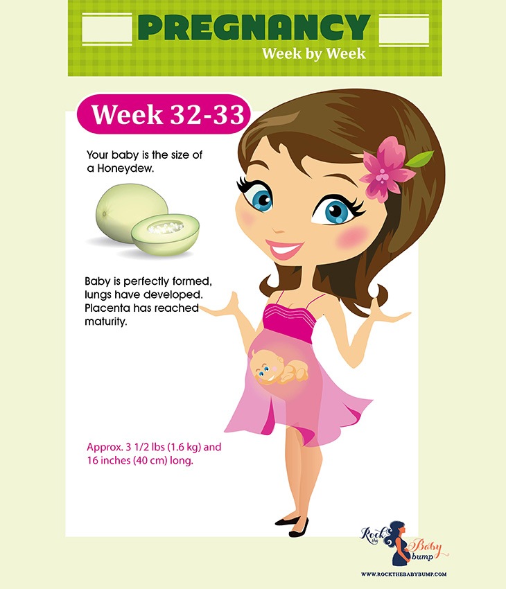 week 32 & 33 in pregnancy