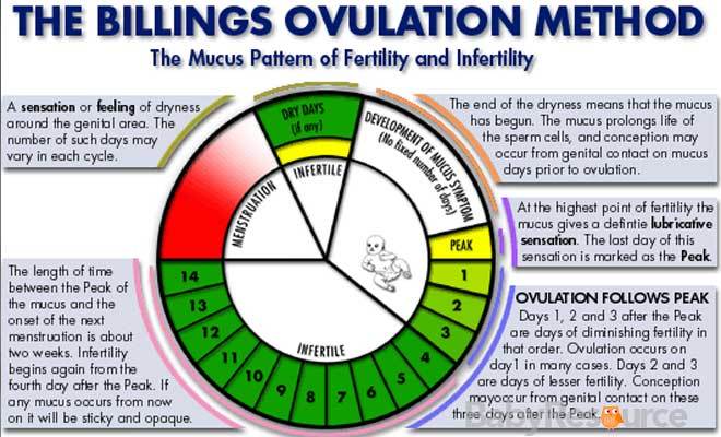 Can You Get Pregnant On Your Ovulation Day 54
